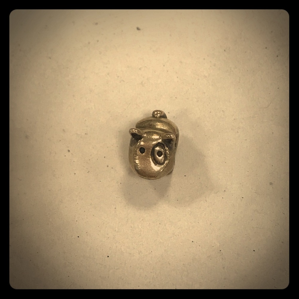 Pandora Cute Dog Charm